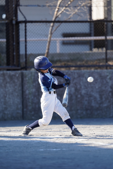 新年一月の活動